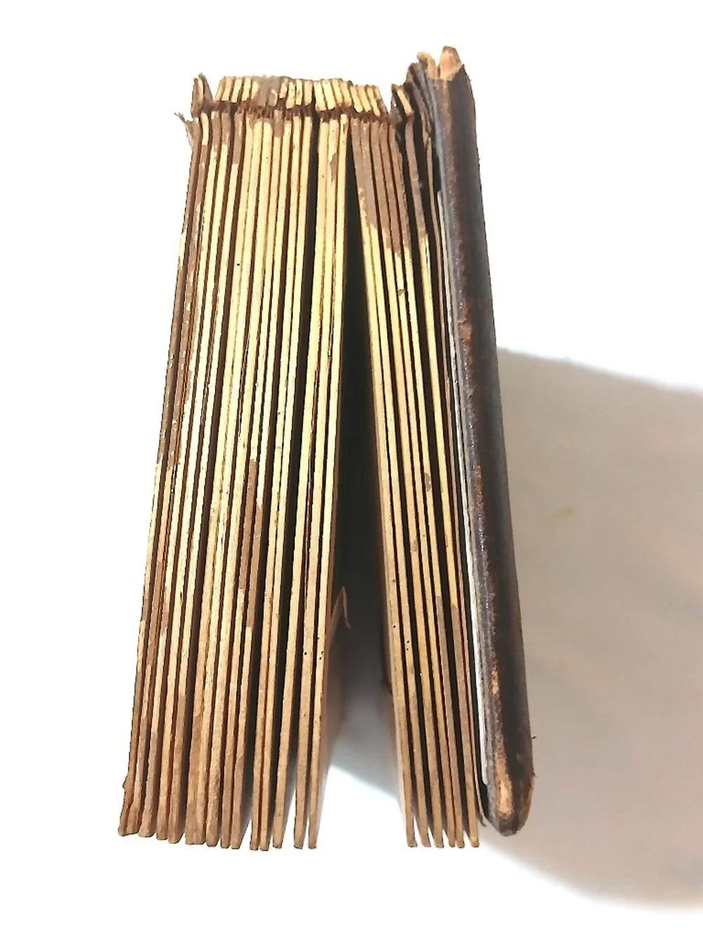 Antique Victorian Photo Album Late 1800s Cabinet Card CDV Empty Floral As-Is